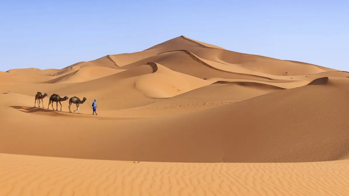 Merzouga Duenen Kameltrekking in Sahara Wueste