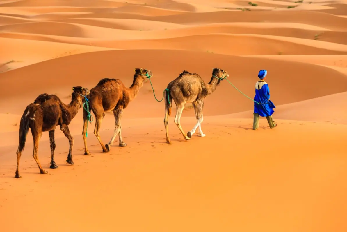 Merzouga Wuestenlager Berberzelt in Sahara Wueste